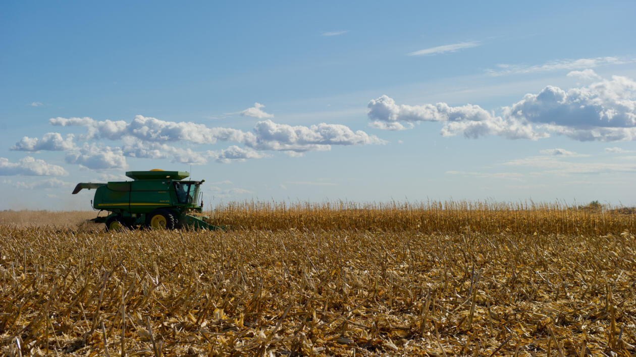 Szykuje się megaprzejęcie na rynku GMO. Monsanto połknie Syngentę?